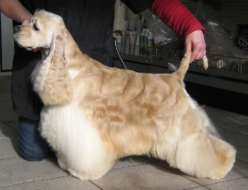 Connor de la ferme des Mottes